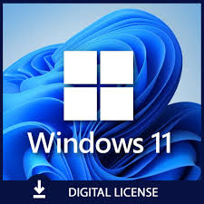 Windows 11 Pro Lifetime
32bit/64bit