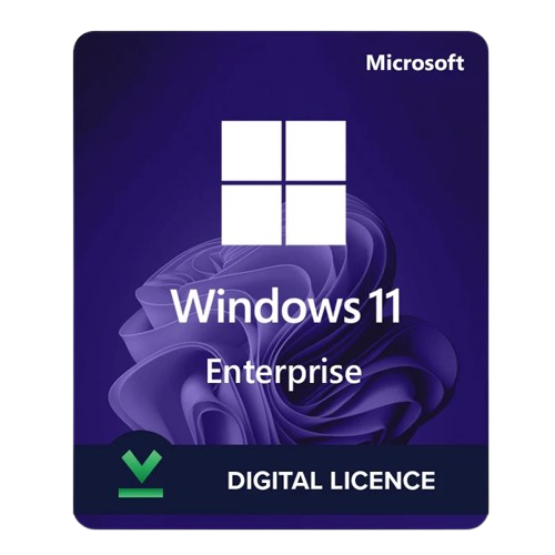 Windows 11 Enterprise 
Lifetime Validity